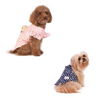 Zigly Lifestyle Clothing for Dogs starting at Rs.379